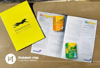 طراحی كاتالوگ صنعتی